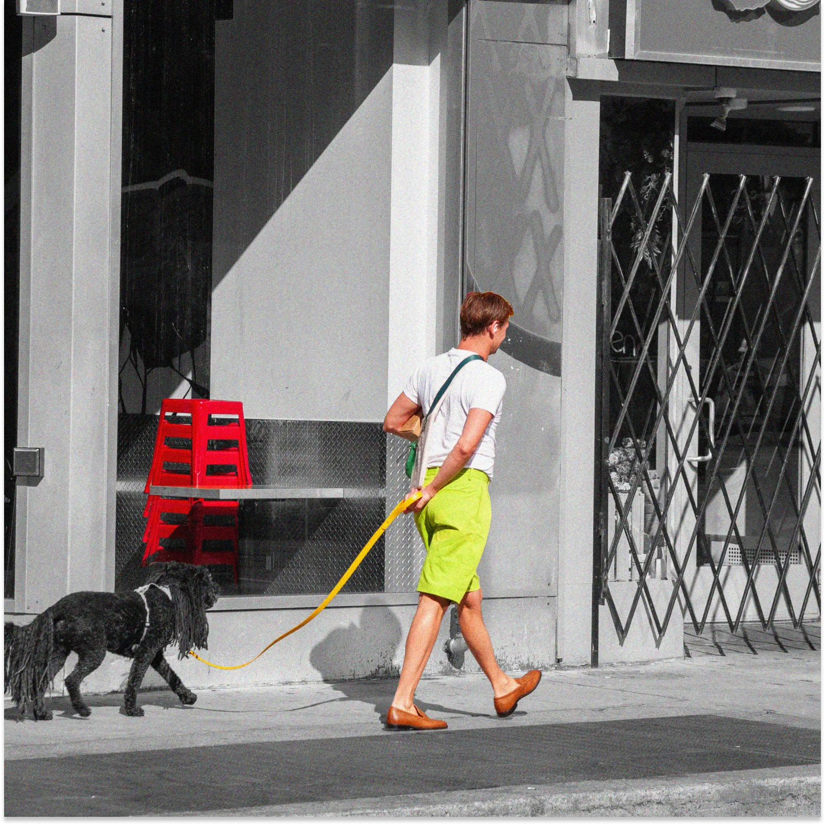 Person walking dog