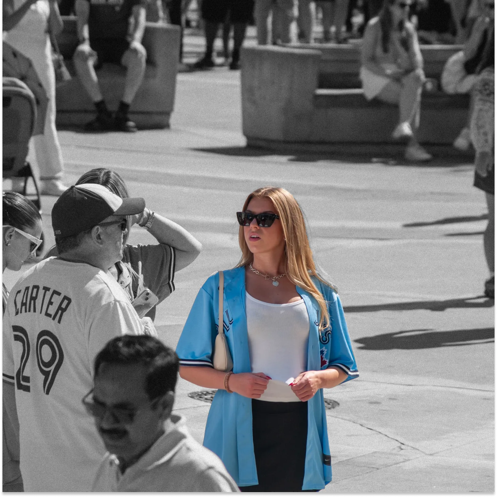 Baseball fans